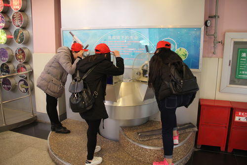 樂于探索，熱愛科學 酒店管理系青年志愿者赴科技館開展專業融合之旅